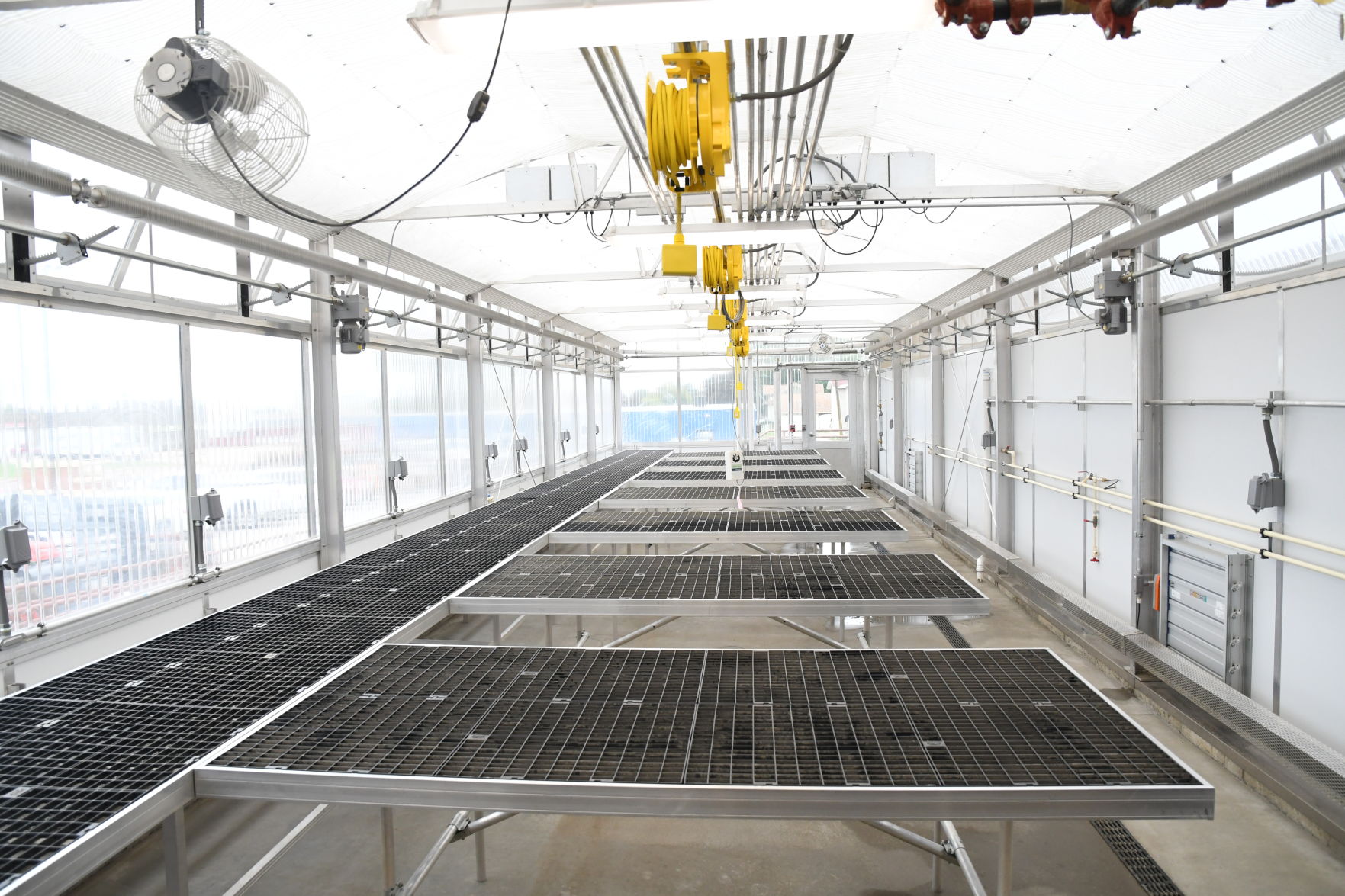 Greenhouse